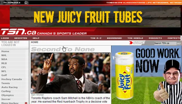 Juicy Fruit Synchronized Interactive Banners (image 7)