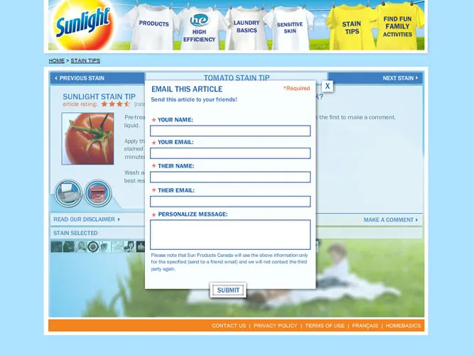 Sunlight Redesign and Stain Promotion (image 15)