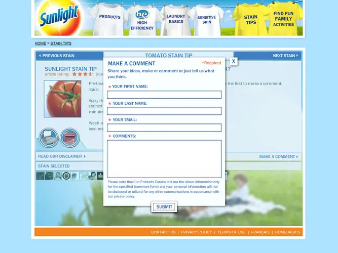 Sunlight Redesign and Stain Promotion (image 16)