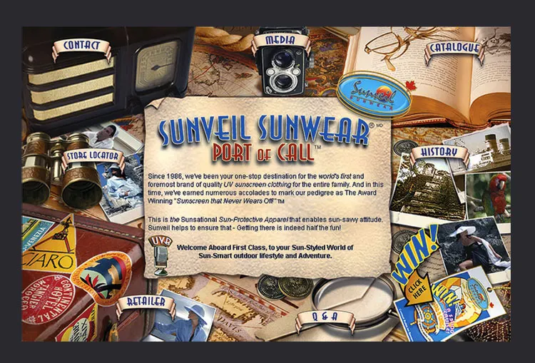 Sunveil Website and Brochure (image 4)
