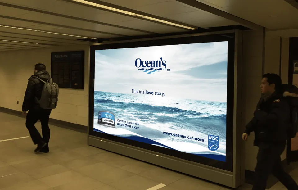 Video Ads